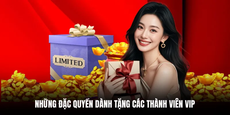 Những đặc quyền dành tặng các thành viên VIP